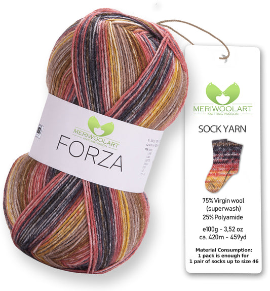 FIL À CHAUSSETTES EN LAINE FORZA 2611 100 g 420