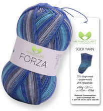 Load image into Gallery viewer, FORZA 2502 WOOL SOCK YARN 100g 420m
