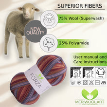 Load image into Gallery viewer, FORZA 2503 WOOL SOCK YARN 100g 420m
