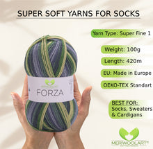 Load image into Gallery viewer, FORZA 2505 WOOL SOCK YARN 100g 420m
