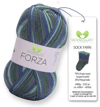 Load image into Gallery viewer, FORZA 2506 WOOL SOCK YARN 100g 420m
