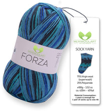 Load image into Gallery viewer, FORZA 2507 WOOL SOCK YARN 100g 420m
