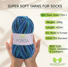 Load image into Gallery viewer, FORZA 2507 WOOL SOCK YARN 100g 420m
