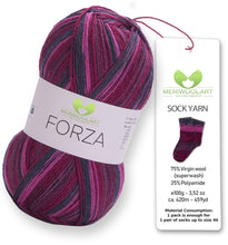 Load image into Gallery viewer, FORZA 2508 WOOL SOCK YARN 100g 420m
