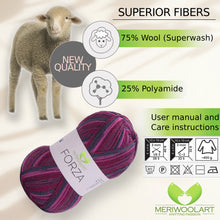 Load image into Gallery viewer, FORZA 2508 WOOL SOCK YARN 100g 420m
