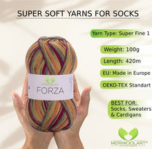 Load image into Gallery viewer, FORZA 2509 WOOL SOCK YARN 100g 420m
