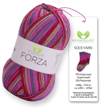 Load image into Gallery viewer, FORZA 2510 WOOL SOCK YARN 100g 420m
