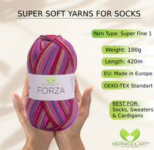 Load image into Gallery viewer, FORZA 2510 WOOL SOCK YARN 100g 420m
