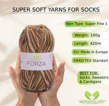 Load image into Gallery viewer, FORZA 2511 WOOL SOCK YARN 100g 420
