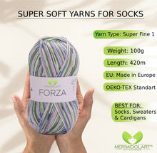 Load image into Gallery viewer, FORZA 2512 WOOL SOCK YARN 100g 420
