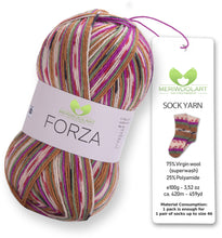 Load image into Gallery viewer, FORZA 2513 WOOL SOCK YARN 100g 420
