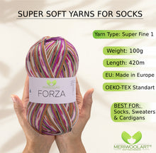 Load image into Gallery viewer, FORZA 2513 WOOL SOCK YARN 100g 420
