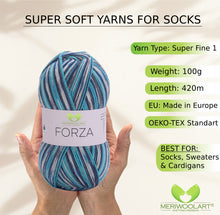 Load image into Gallery viewer, FORZA 2514 WOOL SOCK YARN 100g 420
