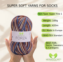 Load image into Gallery viewer, FORZA 2515 WOOL SOCK YARN 100g 420
