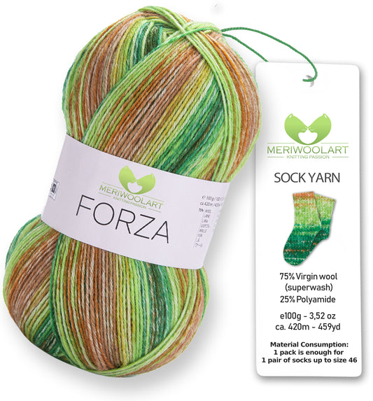 FORZA 2604 WOOL SOCK YARN 100g 420