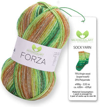 Load image into Gallery viewer, FORZA 2604 WOOL SOCK YARN 100g 420
