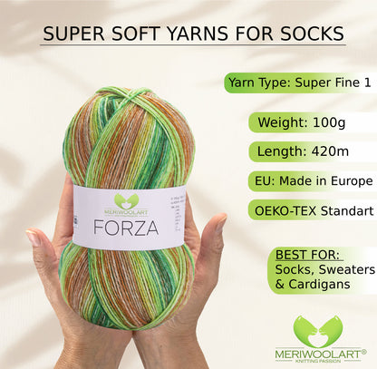 FORZA 2604 WOOL SOCK YARN 100g 420