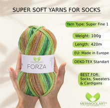 Load image into Gallery viewer, FORZA 2604 WOOL SOCK YARN 100g 420
