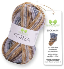 Load image into Gallery viewer, FORZA 2605 WOOL SOCK YARN 100g 420
