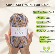 Load image into Gallery viewer, FORZA 2605 WOOL SOCK YARN 100g 420
