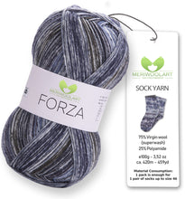 Load image into Gallery viewer, FORZA 2606 WOOL SOCK YARN 100g 420
