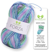 Load image into Gallery viewer, FORZA 2607 WOOL SOCK YARN 100g 420
