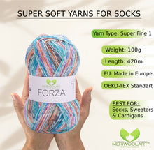 Load image into Gallery viewer, FORZA 2610 WOOL SOCK YARN 100g 420
