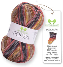 Load image into Gallery viewer, FORZA 2611 WOOL SOCK YARN 100g 420
