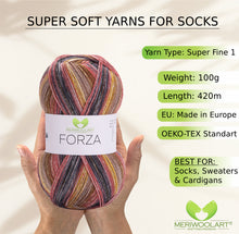 Load image into Gallery viewer, FORZA 2611 WOOL SOCK YARN 100g 420
